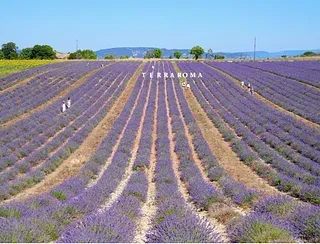 2026.06南法團-開放報名